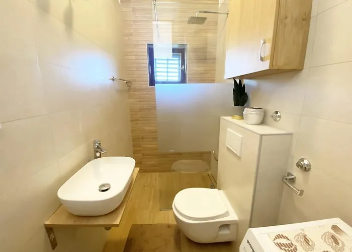 Apartment Roko *