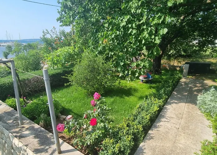 Roko * Pašman