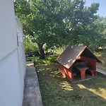 Roko *