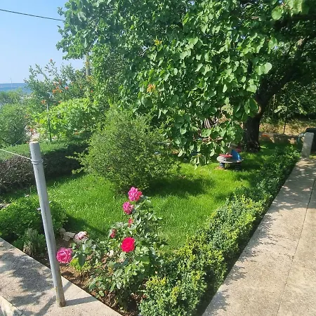 Roko * Pašman