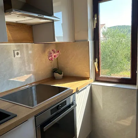 Roko Apartment *